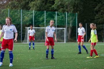 Bild 116 - C-Juniorinnen HSV - Walddoerfer : Ergebnis: 9:1
